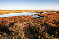 Palo Alto Baylands Park