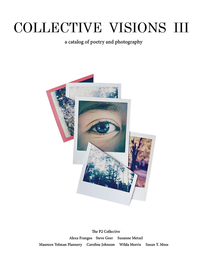 P2 Collective Visions III Catalog